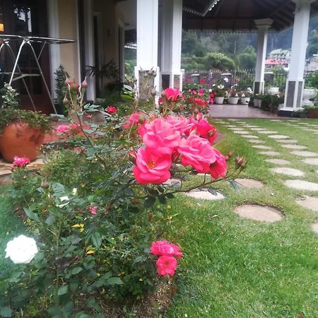 Royal Wattles Apartman Nuwara Eliya Kültér fotó