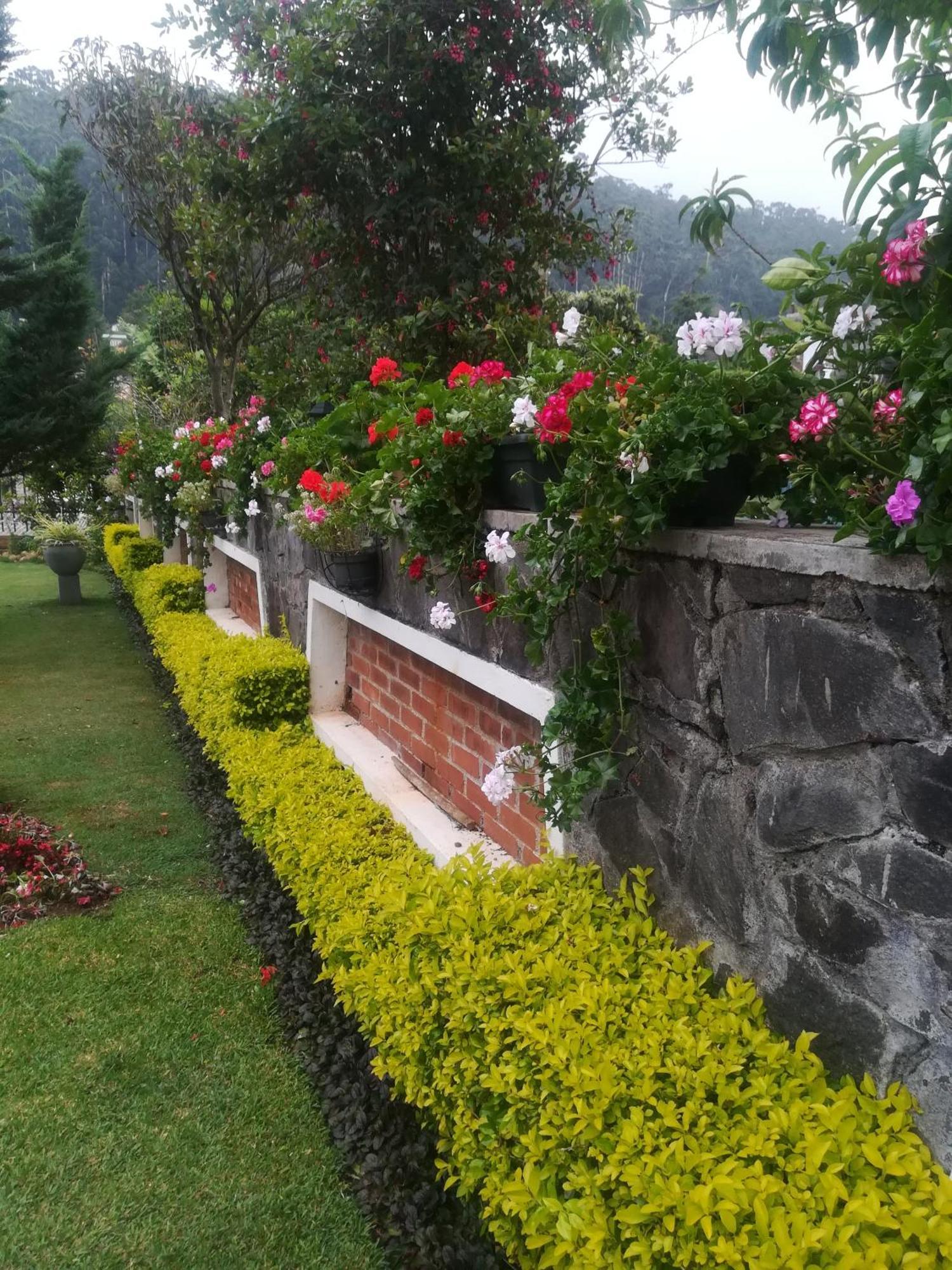 Royal Wattles Apartman Nuwara Eliya Kültér fotó
